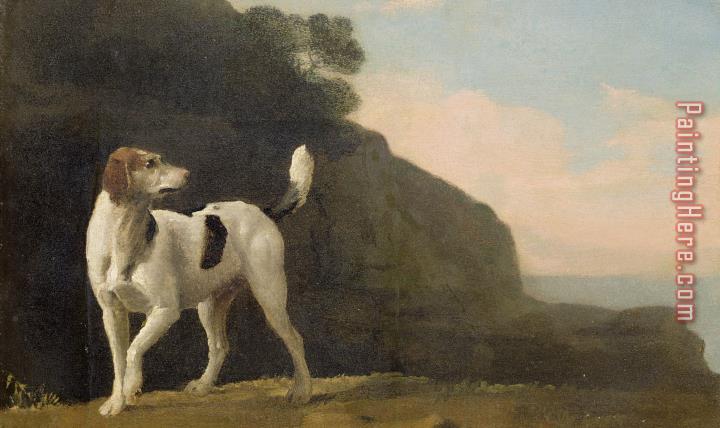 George Stubbs A Foxhound